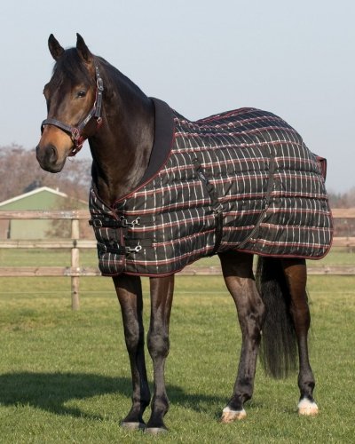 Derka stajenna 150g - kolekcja jesień-zima 2019 - QHP - black check