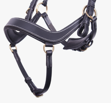 Ogłowie anatomiczne DEVI - QHP