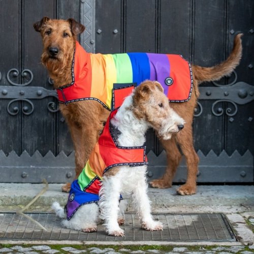 Derka dla psa Rain Coat - Spooks - rainbow 