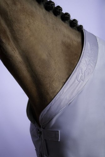Derka SOFTSHELL Classic Sports S/S 22 - Eskadron - silk purple