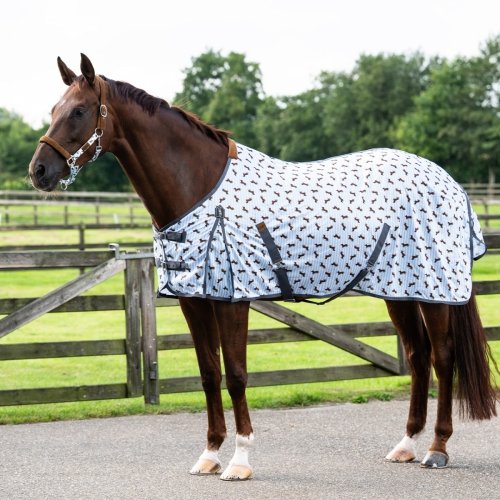 Derka siatkowa Stable buddy Dachshund SS26 - QHP 
