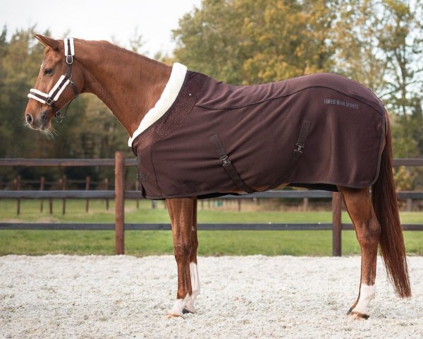 Derka osuszająca JULIN Show Rug - QHP - coffee