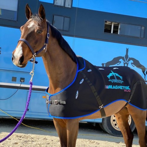 Derka magnetyczna - Veredus - black