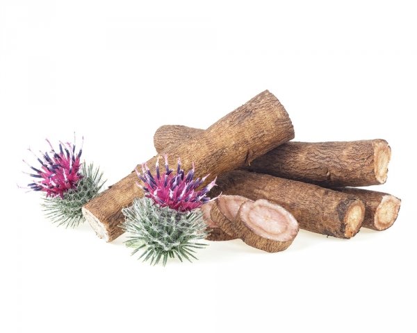  Łopian korzeń 1kg - EQUIHERBS