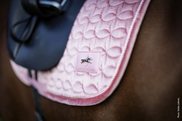 Potnik wszechstronny Velvet Balance Pad Jumping Style SS25 - Schockemohle - dusty pink