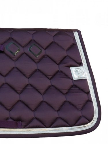 Potnik TEAGAN WS - Busse