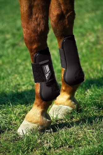 Ochraniacze Norton Pro - komplet na 4 nogi - Norton Pony