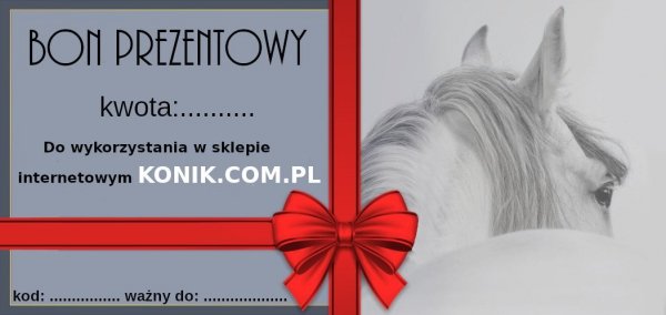 Bon Prezentowy o wartości 250 ZŁ