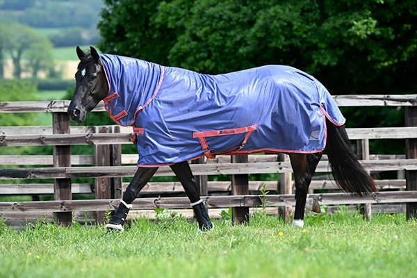 Derka siatkowa z kołnierzem FREEDOM - Bucas - navy/grape