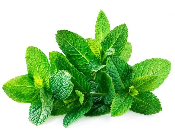 Mięta 1 kg - EQUIHERBS 