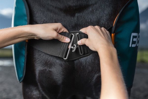 Zestaw terapeutyczny HORSE-SET derka + ochraniacze - BEMER