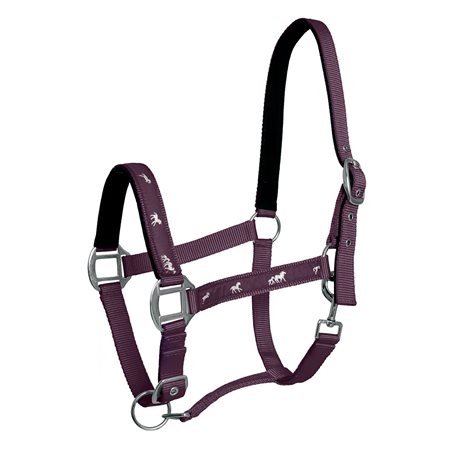 Kantar ACTIVE HORSES - Fair Play