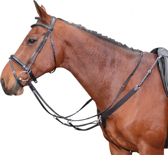 Napierśnik z wytokiem - HARRY'S HORSE