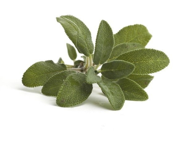 Szałwia 0,2 kg - EQUIHERBS 