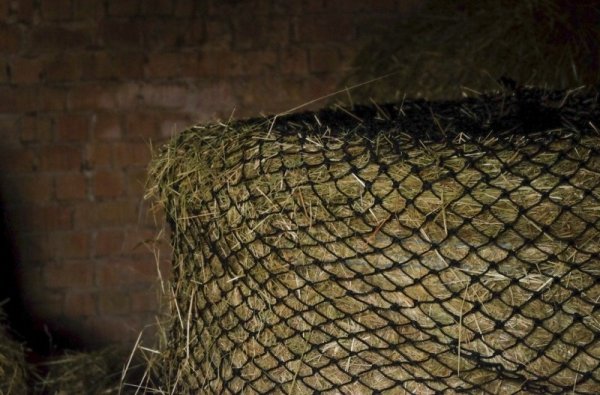 Siatka na balot 280x280 cm oczka 5x5 cm - HIPPOTONIC