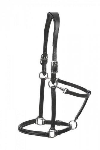 Kantar anatomiczny, skórzany ANATOMIC - Busse - czarny