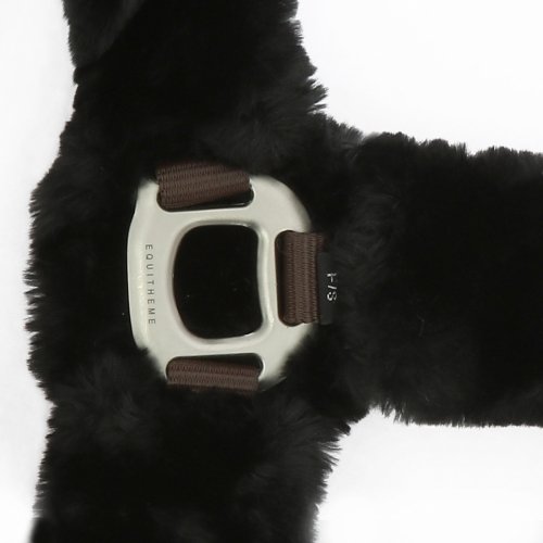 Kantar Teddy - EQUITHEME