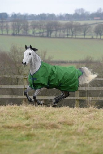 Derka padokowa 150g 600D FREEDOM TURNOUT - Bucas - emerald green