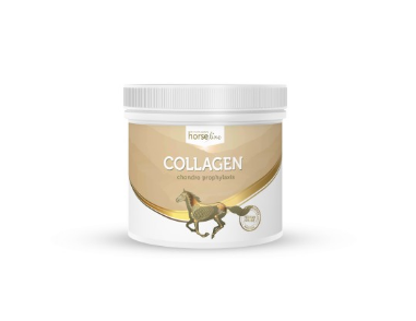 Kolagen Collagen 300g - HorseLine PRO