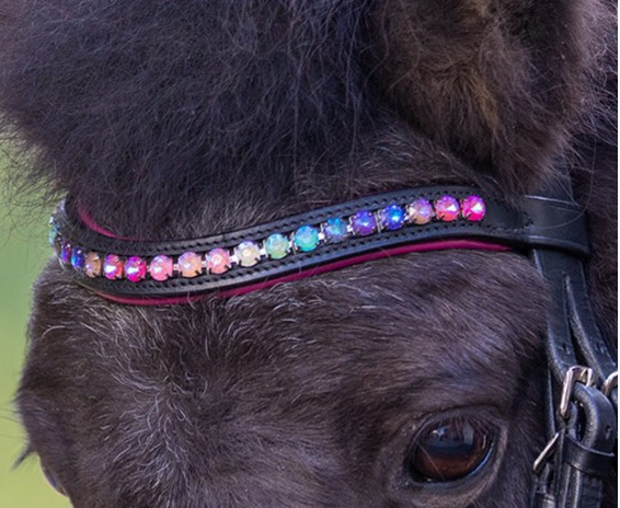 Ogłowie PINKY - STAR