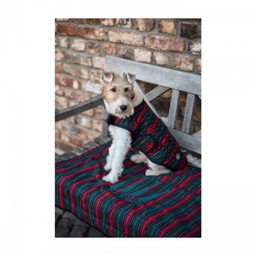 Derka dla psa Coat Classic - SPOOKS - british karo