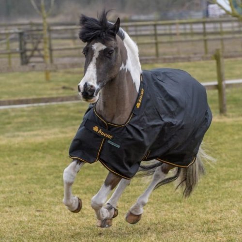 Derka padokowa 50g 1200D IRISH - Bucas - black/gold