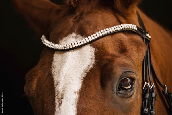 Ogłowie ISABELL WERTH Johnny - Schockemohle