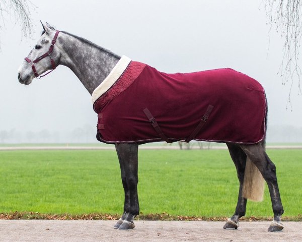 Derka polarowa BRILLIANCE - QHP