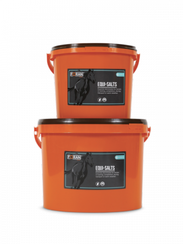 Elektrolity Equi-Salts 4 kg - FORAN