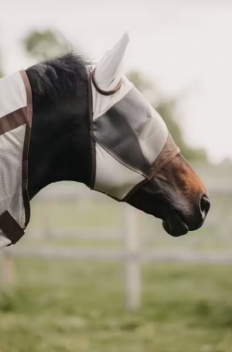 Maska przeciw owadom Classic - Kentucky - silver