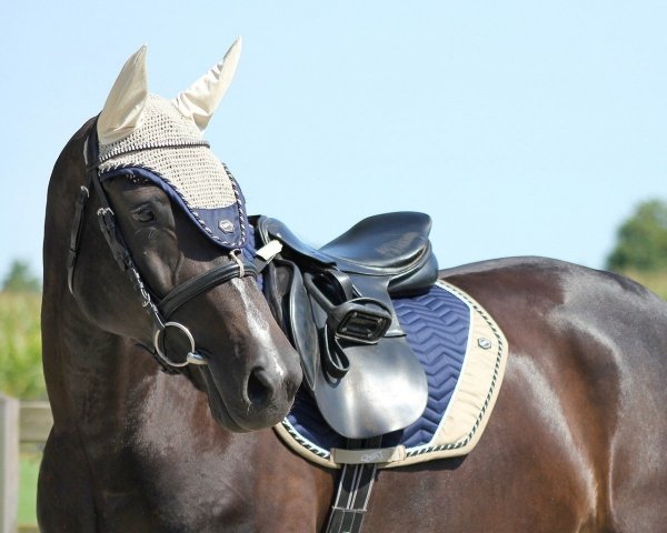 Nauszniki &quot;słoniki&quot; FLORIDA - QHP - denim