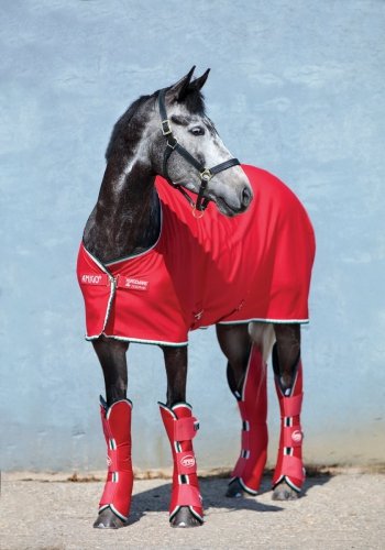Derka osuszająca polarowa AMIGO Jersey Cooler - HORSEWARE - red/white/green/black