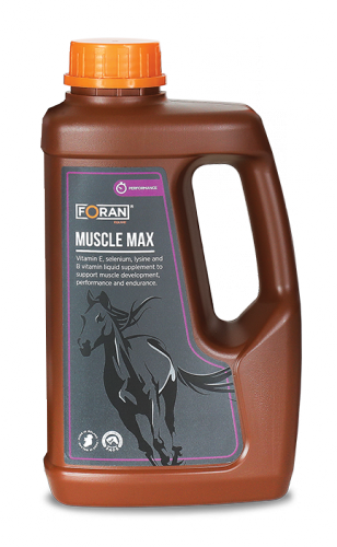 Preparat wspomagający budowę masy mięśniowej MUSCLE MAX 1L - FORAN