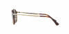 OKULARY PERSOL® PO 3166S 24/31 51 ROZMIAR M