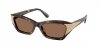 OKULARY SWAROVSKI SK 6029 100273 53 ROZMIAR M