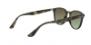 OKULARY RAY-BAN® RB 4259 731/E8 51 ROZMIAR M
