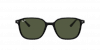 OKULARY RAY-BAN® LEONARD RB 2193 901/31 55 ROZMIAR M