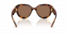 OKULARY SWAROVSKI SK 6037 100273 50 ROZMIAR S