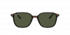 OKULARY RAY-BAN® LEONARD RB 2193 902/31 55 ROZMIAR M