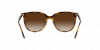 OKULARY RAY-BAN® RB 4378 710/13 54 ROZMIAR M