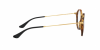OKULARY KOREKCYJNE RAY-BAN® ROUND RX 2447V 5494 49 ROZMIAR M
