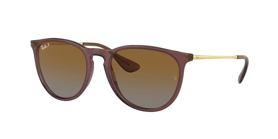 Ray ban sale erika cena