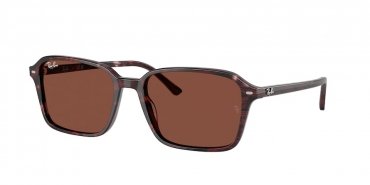OKULARY RAY-BAN® RAIMOND RB 2231 1416C5 58 ROZMIAR L