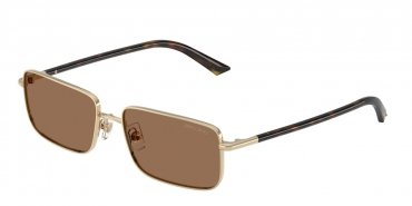 OKULARY JIMMY CHOO JC 4027 300673 55 ROZMIAR M