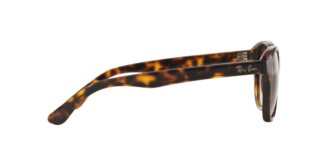 OKULARY RAY-BAN® RB 4203 710/13 51 ROZMIAR M