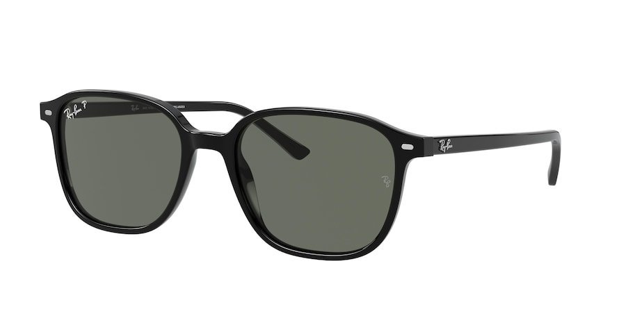 OKULARY RAY-BAN® LEONARD RB 2193 901/58 53 ROZMIAR M Z POLARYZACJĄ