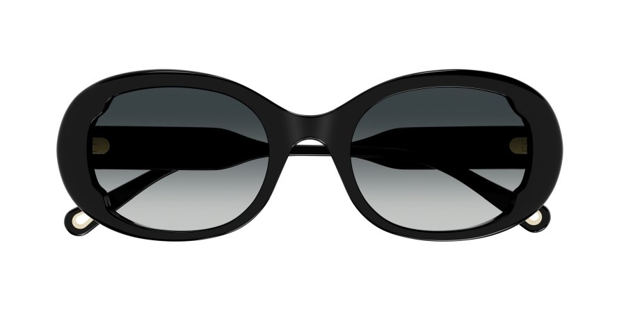 OKULARY CHLOE CH 0197S 001 53 ROZMIAR M