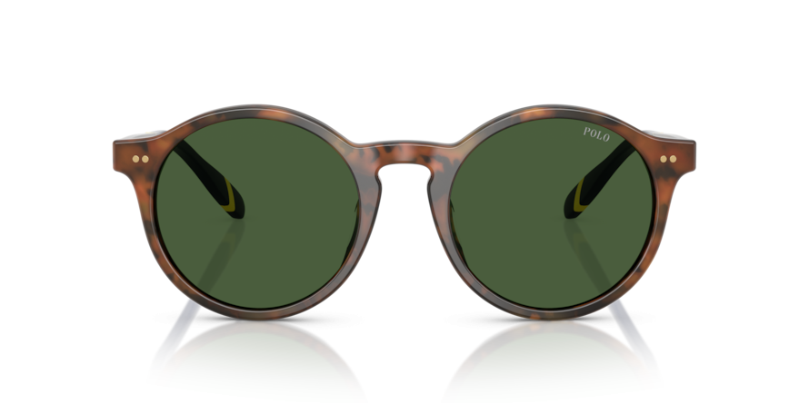 OKULARY POLO RALPH LAUREN PH 4204U 562571 50 ROZMIAR M