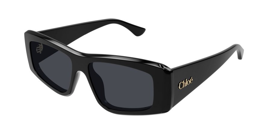 OKULARY CHLOE CH 0299S 001 55 ROZMIAR M