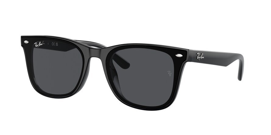 OKULARY RAY-BAN® RB 4420 601/87 65 ROZMIAR L